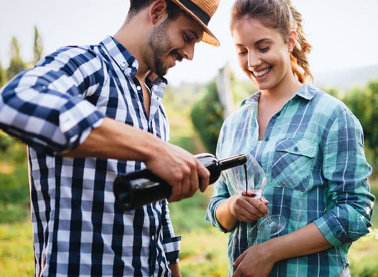 Wine Tasting and Tours Wine Tasting and Tours